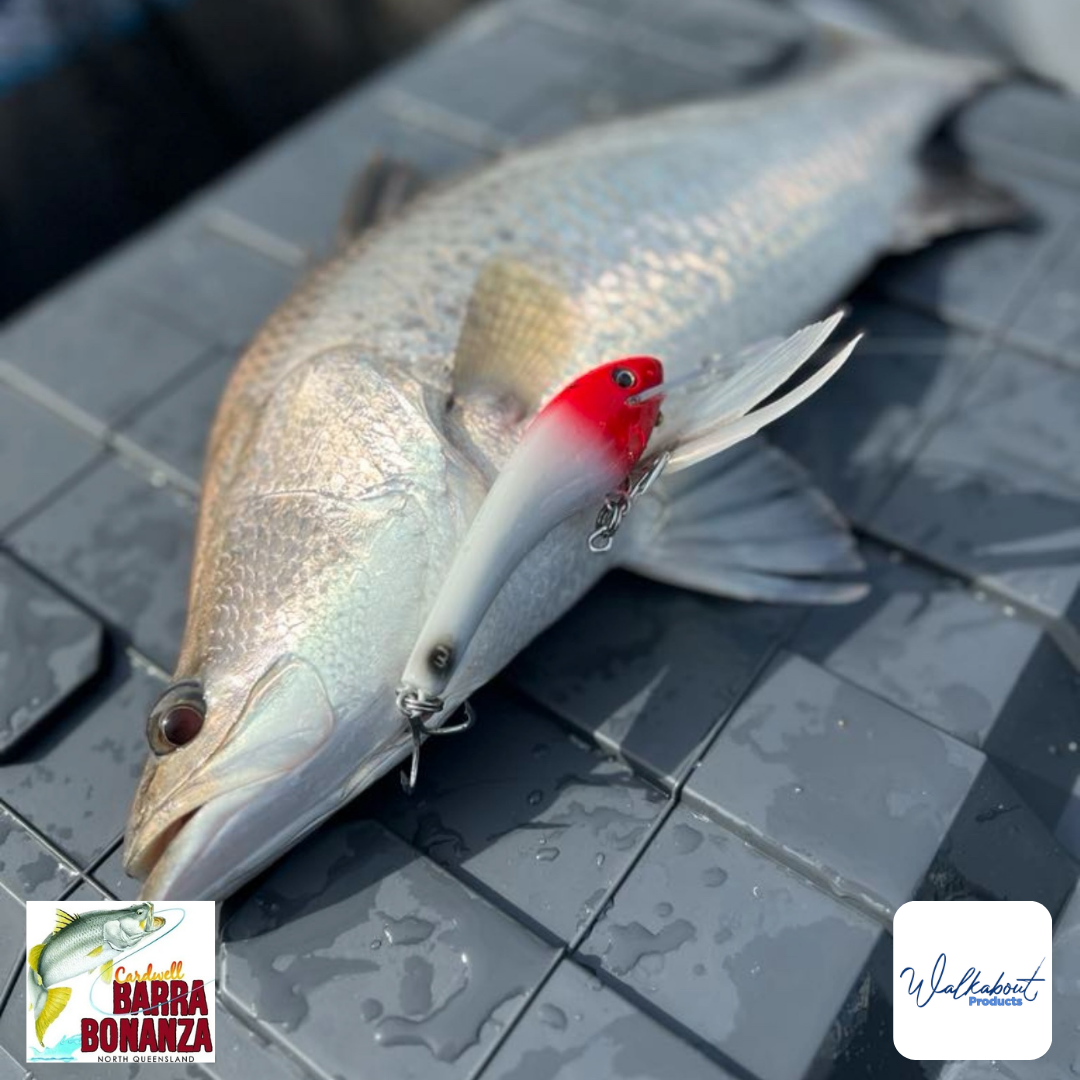 Walkabout Products Classic 100 with barra